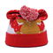 Sombreros de invierno unisex con patrón bordado para la temporada fría