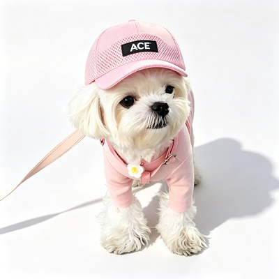 Lindo sombrero para mascotas de algodón de 50 gramos, diseño versátil que combina con varios atuendos y personalidades de mascotas, regalo perfecto