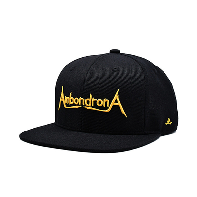 Sombreros Snapback de ala plana personalizados Bordado Flat Bill Gorra de béisbol