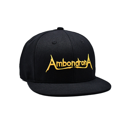 Sombreros Snapback de ala plana personalizados Bordado Flat Bill Gorra de béisbol