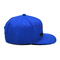 OEM ODM personalizado con bordado 3D de borde plano con gorras de retroceso con logotipo, gorras de hip hop para hombres