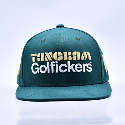 Logotipo de bordado en 3D Calidad elegante 6 paneles Sombrero Snapback Venta caliente