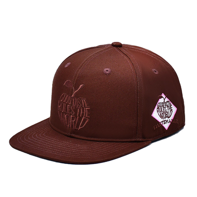 Logotipo de bordado personalizado Con espalda cerrada Sombreras Snapback de alta calidad Sombreras Sport 6 Panel Snapback