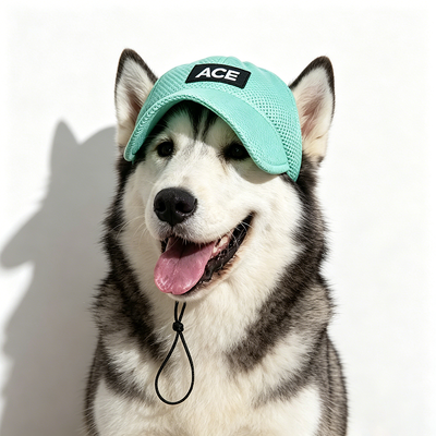 Sombrero para mascotas para exteriores e interiores adecuado para perros pequeños El paquete incluye 1 x correa ajustable para el sombrero para mascotas para ajuste seguro